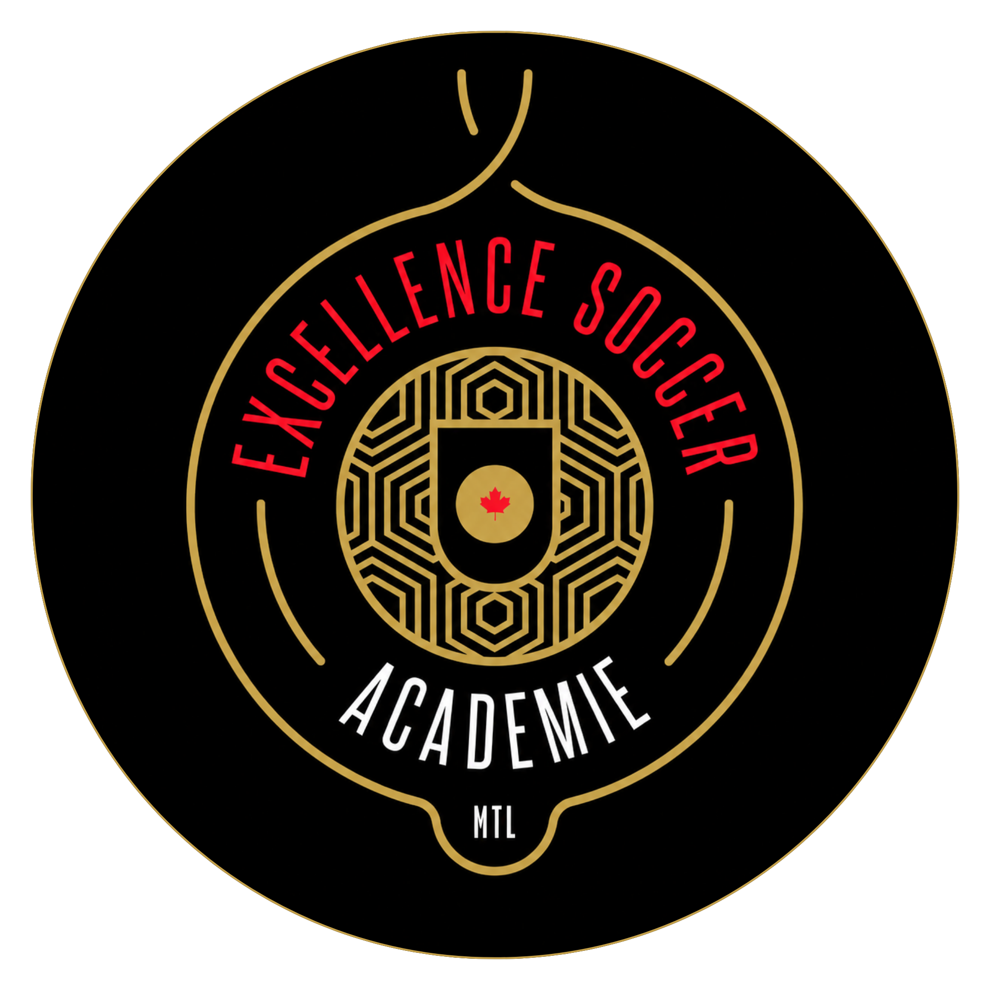 Excellence Soccer Academy